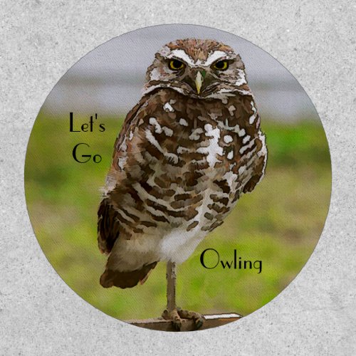 Burrowing Owl Patch