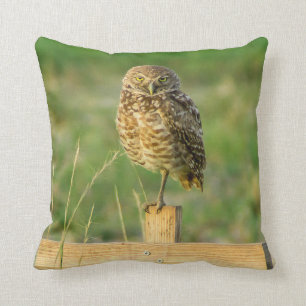 Burrowing Owl Pillow
