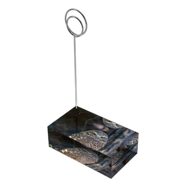 Burrowing Owl Place Card Holder (Corner)