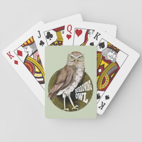 Burrowing owl playing cards