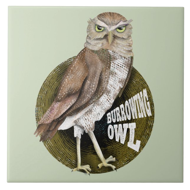 Burrowing owl shoco ceramic tile (Front)