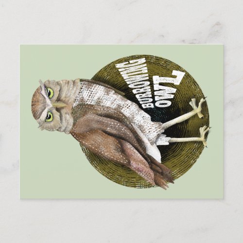 Burrowing owl shoco postcard