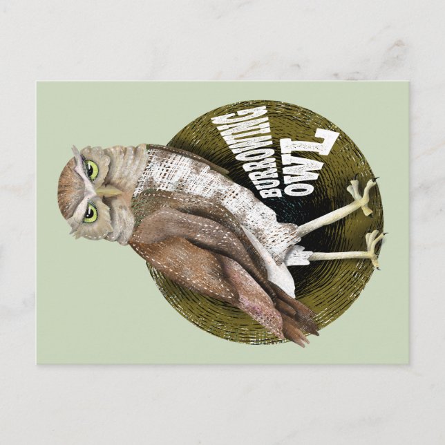 Burrowing owl shoco postcard (Front)