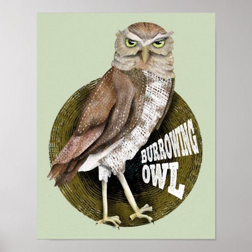 Burrowing owl shoco poster