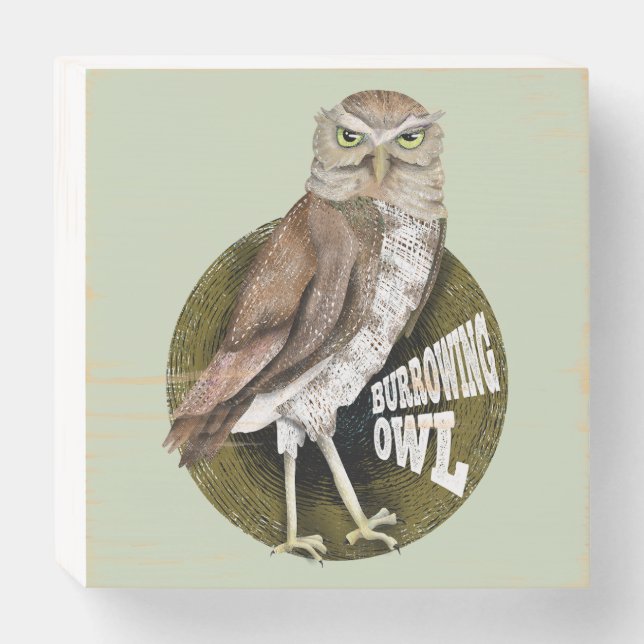 Burrowing owl shoco wooden box sign (Front Horizontal)