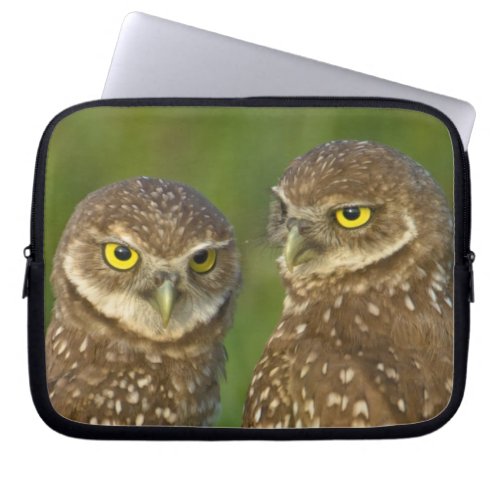 Burrowing owls are a popular site on Marco 2 Laptop Sleeve