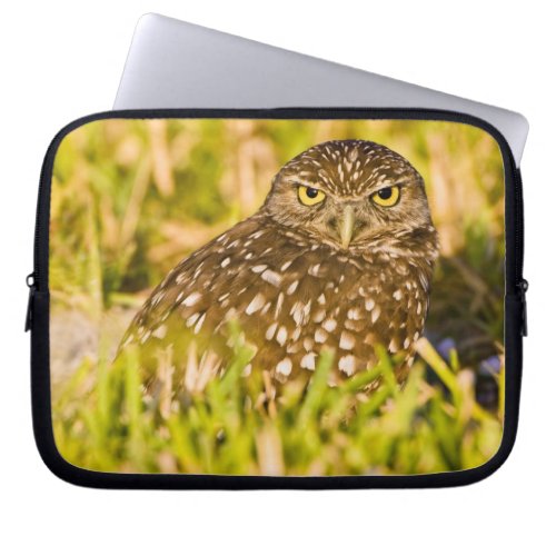 Burrowing owls are a popular site on Marco 3 Laptop Sleeve