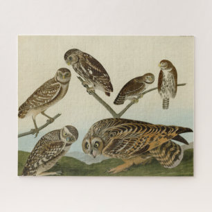 Burrowing Owls - from Audubon's Birds of America Jigsaw Puzzle