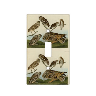 Burrowing Owls - from Audubon's Birds of America Light Switch Cover
