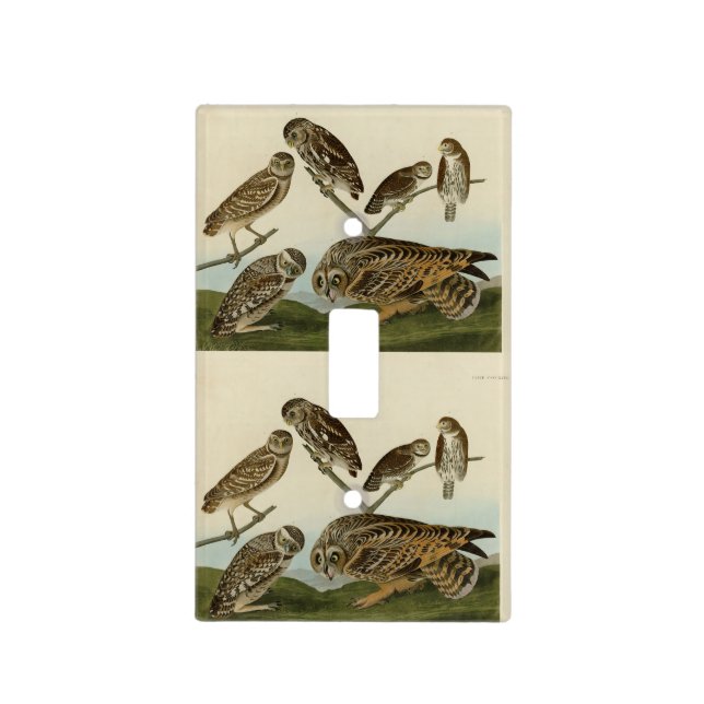 Burrowing Owls - from Audubon's Birds of America Light Switch Cover (Front)