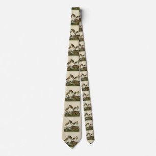 Burrowing Owls - from Audubon's Birds of America Neck Tie