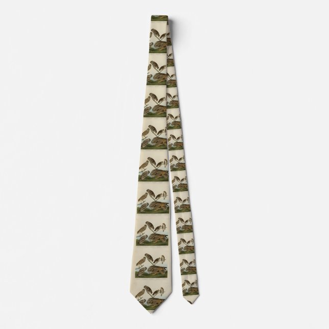 Burrowing Owls - from Audubon's Birds of America Neck Tie (Front)