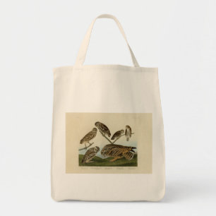 Burrowing Owls - from Audubon's Birds of America Tote Bag