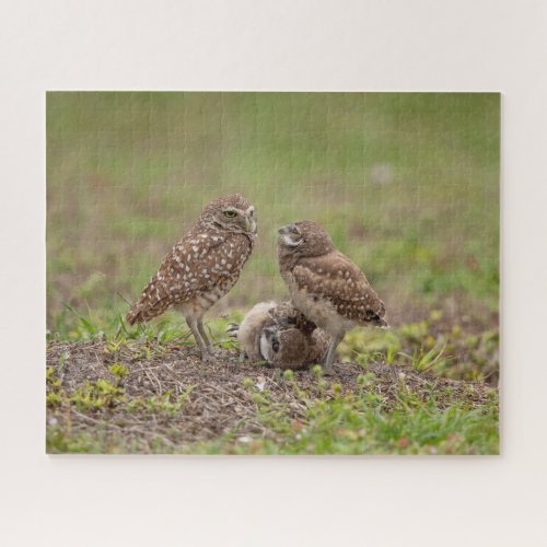 Burrowing Owls Jigsaw Puzzle