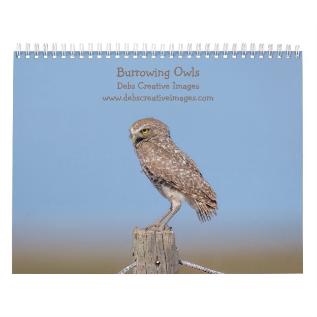 Burrowing Owls of Southeast Florida 2026 Calendar (Cover)