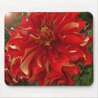 Burst Forth Fractal Mousepad