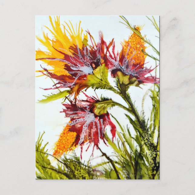 "Bursting"  Postcard featuring Art by JAC (Front)
