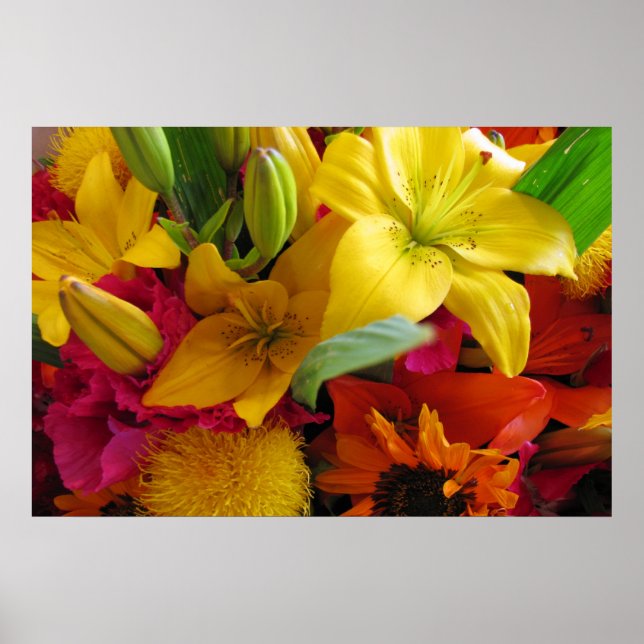 Bursts of Colors Poster (Front)