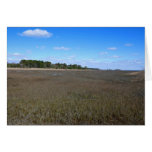 Burton Island Nature Preserve Trail Cards