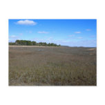 Burton Island Nature Preserve Trail Postcard