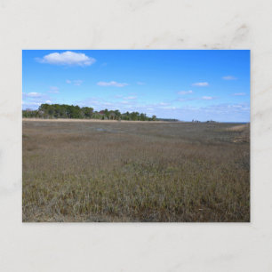 Burton Island Nature Preserve Trail Postcard