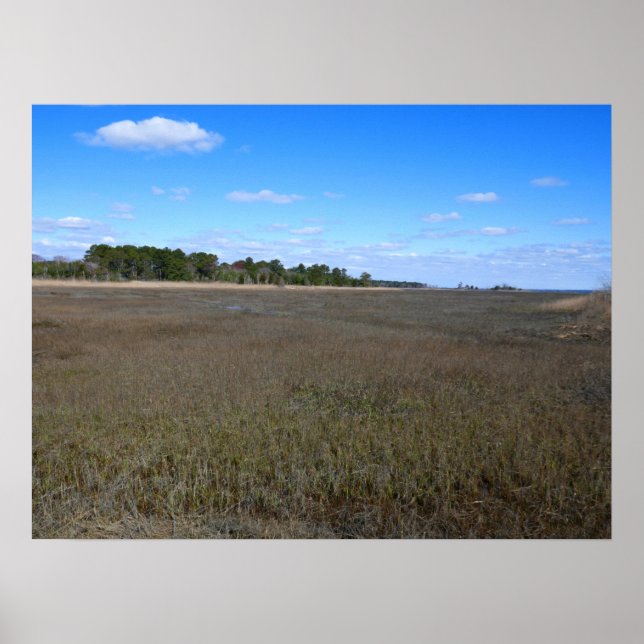 Burton Island Nature Preserve Trail Poster (Front)