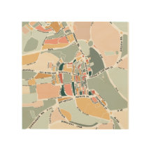 Bury St Edmunds Colourful Modern Map
