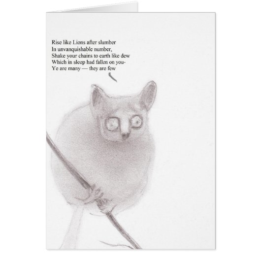 Bush baby anarchist cards (Front)