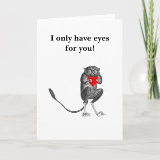 Bush Baby greeting card