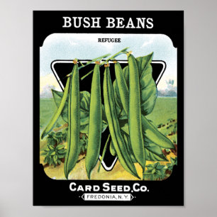 Bush Beans Card Seed Co. packet Vintage Fredonia Poster