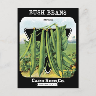Bush Beans Seed Pack Vegetable Garden Black NY Postcard