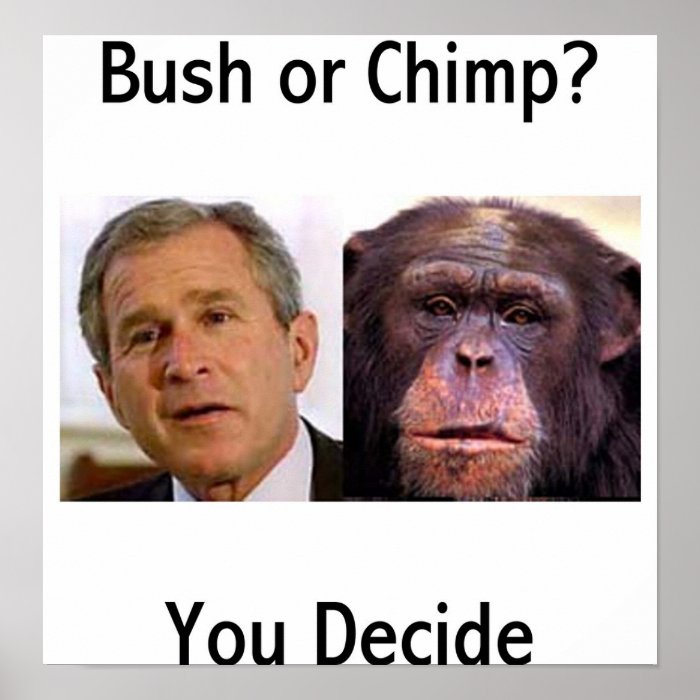 Bush Or Chimp Poster