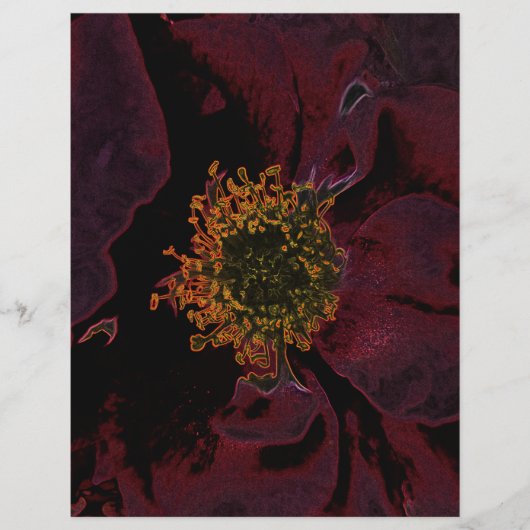 Bush Roses Neon (Front)