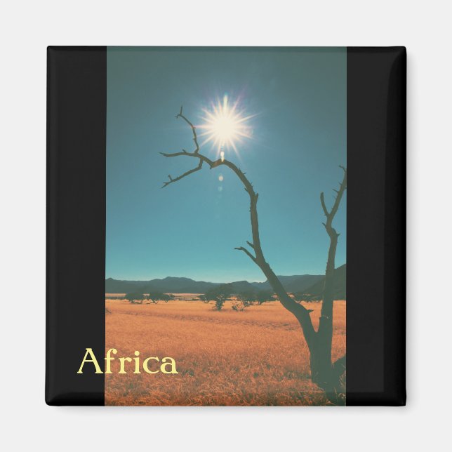 Bush Savannah Landscape Africa Tree Magnet (Front)