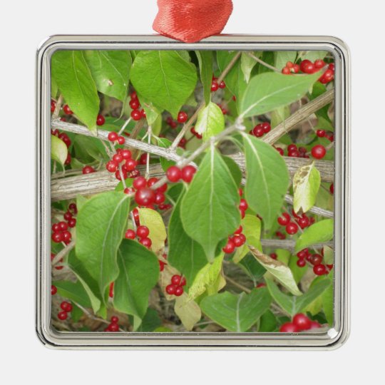 Bush with Red Berries Metal Ornament