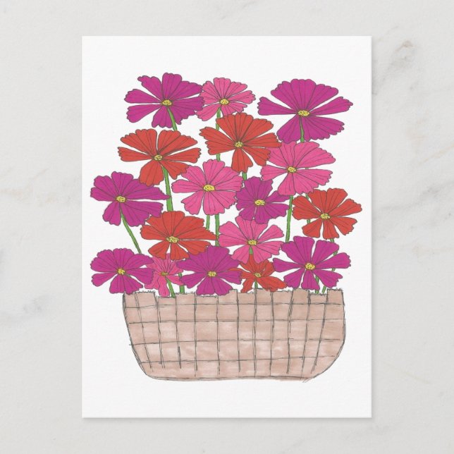 Bushel of Bright Cosmos  Postcard (Front)