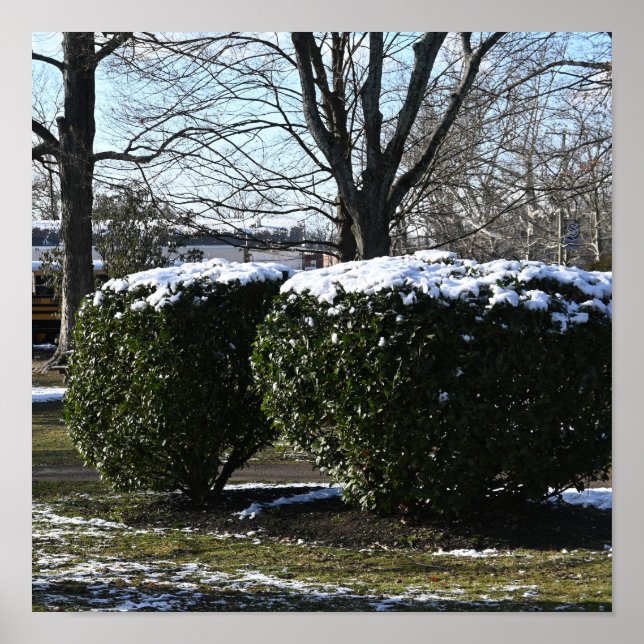 Bushes with Snow Poster (Front)