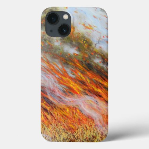 Bushfire Inferno 2014 iPhone 13 Case