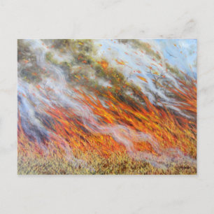 Bushfire Inferno 2014 Postcard