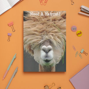 Bushy Hair Brown Llama Hair Stylist Postcard
