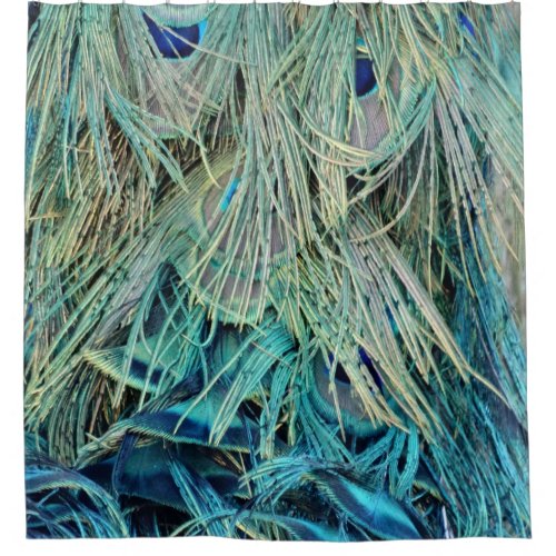 Bushy Peacock Feathers Hidden Eyes Shower Curtain