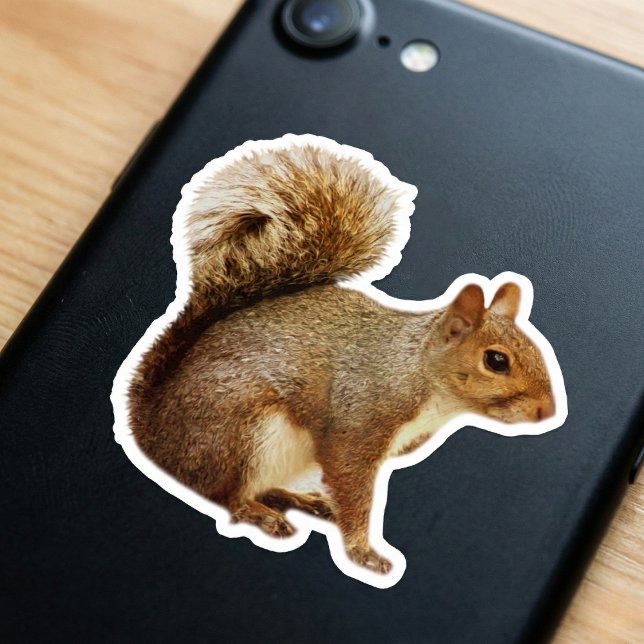 Bushy Tail Squirrel Sticker (Nature for your phone.)