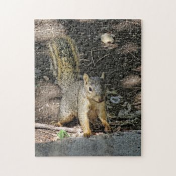 Bushy Tailed Squirrel Jigsaw Puzzle by hawkysmom at Zazzle