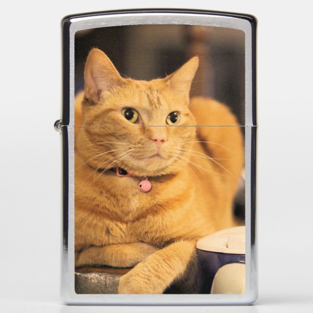 Bushy Zippo Lighter (Front)
