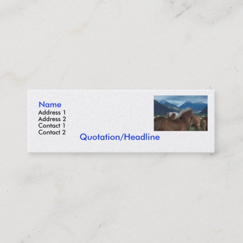 Business Card