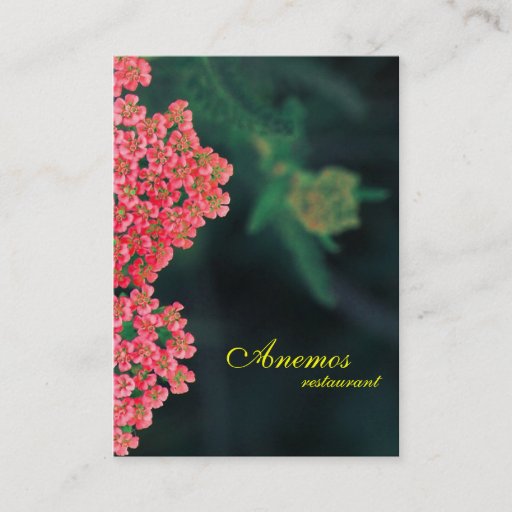 Customizable business card