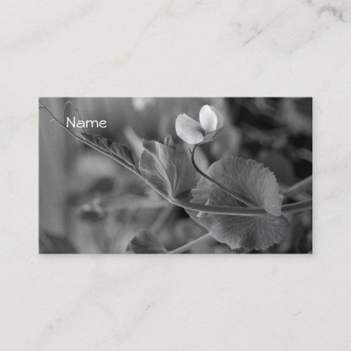 Business Card  Pea Vine 2