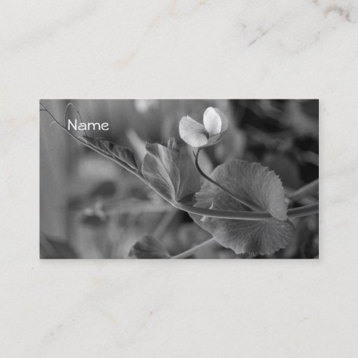 Customizable Business Card  Pea Vine 2