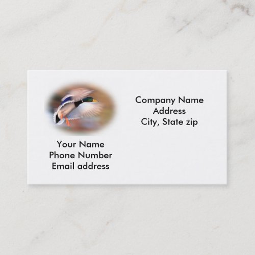 Business Card Template