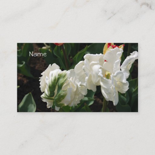 Customizable Business Card-White and Green Tulip